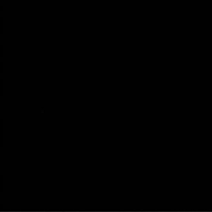 ABSOLUTE BLACK